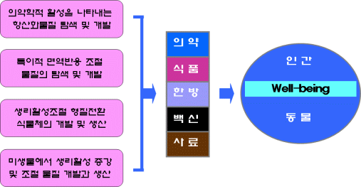 모식도